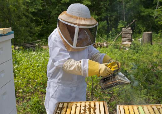 The white fabric of a beekeeper suit is so bees know the difference between an apiarist and a predator.