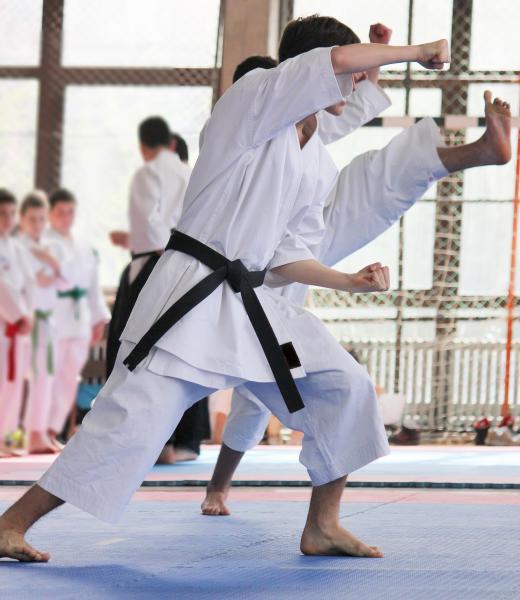 Kicking is emphasized in Taekwondo.