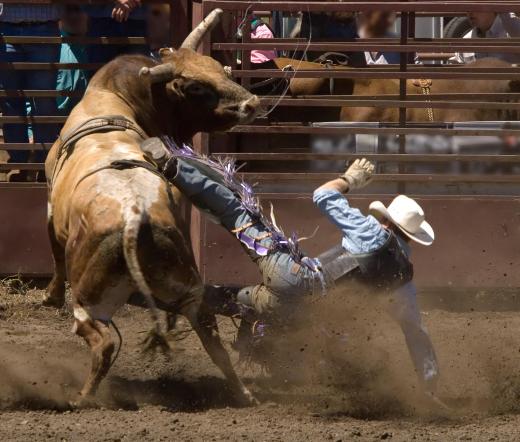 Bull riders can incur broken bones, ruptured organs, and even death.