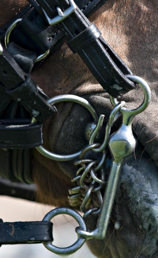 A key part of horse training, the bridle and bit are commonly used to help control the animals.