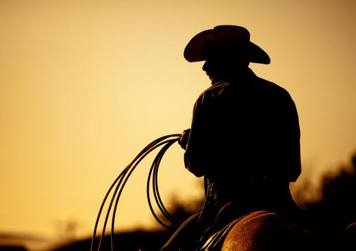 Western riding began in the cowboy culture of the American West.