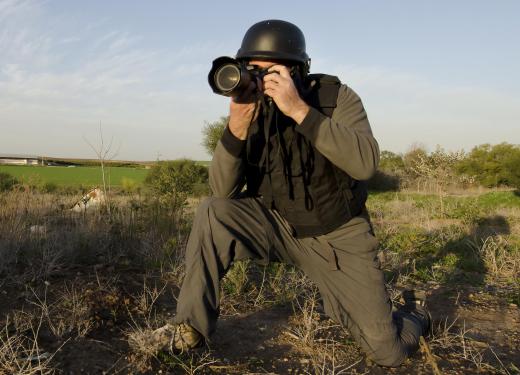 A field guide should provide a photographer with insight into taking photos in the wild.
