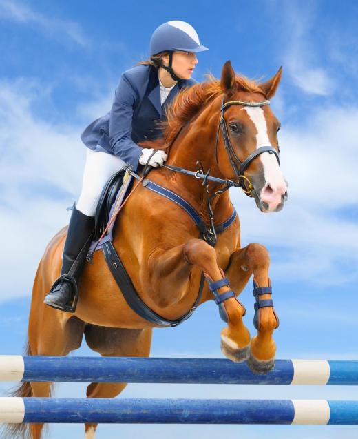 English riding competitions include jumping.