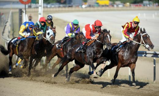 In a claiming race, all racing horses are available for purchase until a few minutes before the race begins.