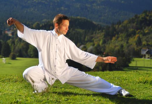 Modern wushu is divided into many different disciplines, including taijiquan and kung fu.