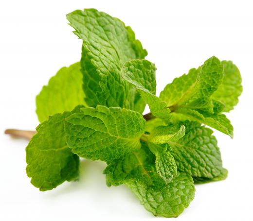 Mint is the essential additive in menthol cigarettes.