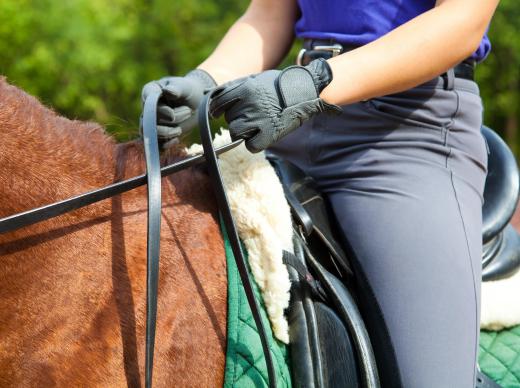 Riding boots should be sturdy enough support a rider's leg.