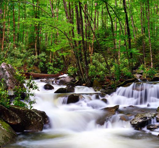 A slow shutter speed can be used to blur objects -- such as running water -- to show motion.