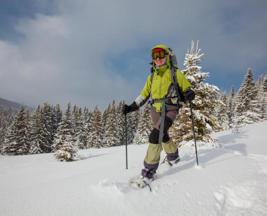 Skiers are typically able to cover more diverse terrain than snowboarders, in part due to the use of poles.