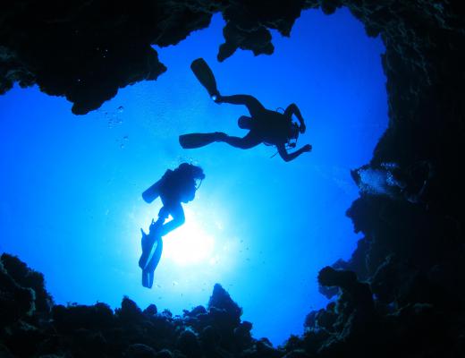 About 500 people have died while partaking in cave diving activities since 1960.