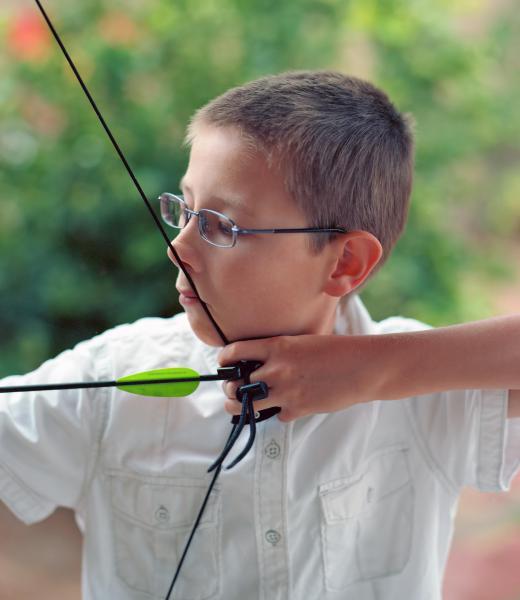 Beginning archers may wish to buy a bow and arrow set.